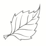 Screen Shot 2015-06-18 at 03.45.05